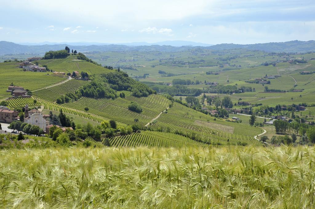 Cascina San Michele Bed and Breakfast Costigliole d'Asti Exterior foto