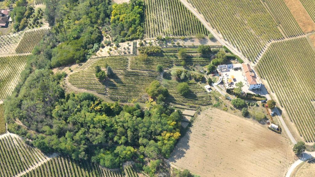 Cascina San Michele Bed and Breakfast Costigliole d'Asti Exterior foto